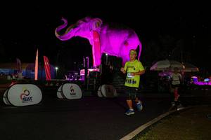 BIB: 
                            <button type="button" onclick="openModal(26543042)" class="btn btn-primary btn-sm float-right btn-popup" data-toggle="modal" data-target=".modal-high-quality">
                        <i class="fas fa-shopping-cart"></i> Add to Cart
                    </button>
                                            <button type="button" onclick="isThisMe(26543042, true)" class="btn btn-success btn-sm float-right btn-popup btn-isme hidden" data-toggle="tooltip" data-placement="bottom" title="นี่คือรูปของคุณใช่ไหม คลิกที่นี่เพื่อเอาเข้าอัลบั้ม">
                        <i class="fas fa-plus"></i> Add to album
                    </button>
                    <button type="button" onclick="isThisMe(26543042, false)" class="btn btn-warning btn-sm float-right btn-popup btn-isnotme hidden">
                        <i class="fas fa-ban"></i> Remove from album
                    </button>